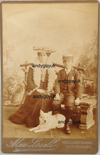 Cabinet card samoyed - card, or