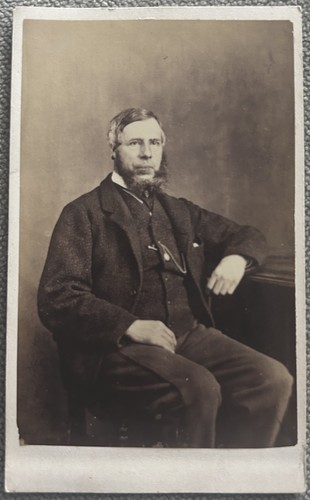Cdv fashionable victorian - cdv.,