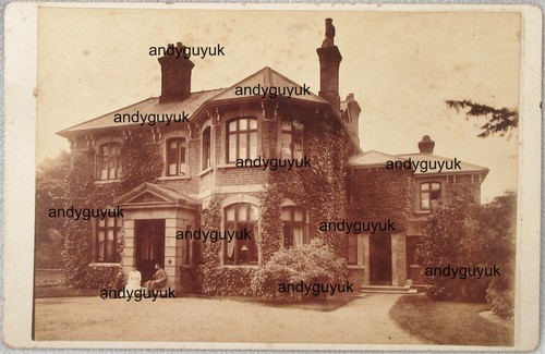 Cabinet card ernest - cabinet,