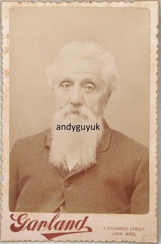 Cabinet card rare garland - cabinet,