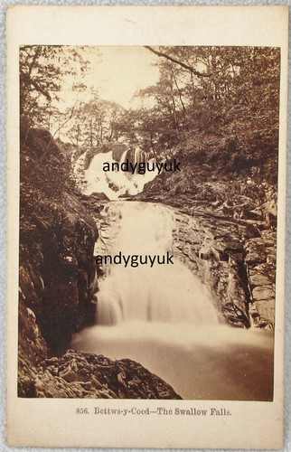 Cdv bettws coed swallow - y,